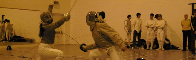Newcastle Fencing Match