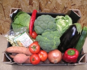 Organic Vegetable Box