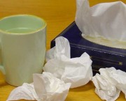 tissues and lemsip