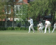 Cricket at York