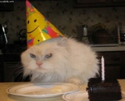 I hate birthdays