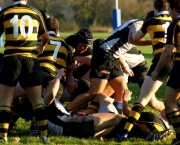 Men's Rugby