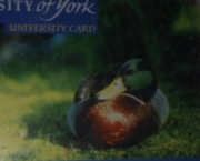 University Card