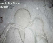 Kate Bush 50 words for snow