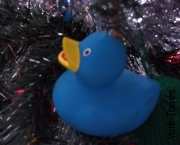 Blue Duck Christmas