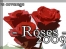Yorker Roses Logo