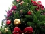 Generic Christmas tree