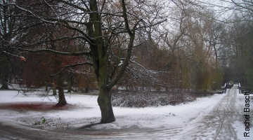 Campus in snow