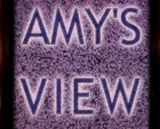 Amy's View