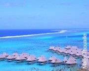 Moorea