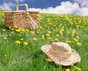 Picnic & straw hat