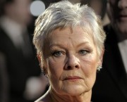 judi dench