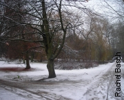 Campus in snow