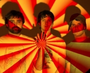 Animal Collective