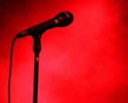 Mic