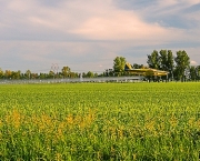 Plane in field