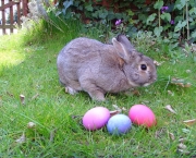 Easter bunny