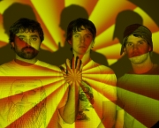 Animal Collective