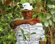 Tiger Woods