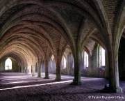 Fountains Abbey