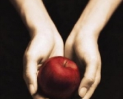 Twilight book cover