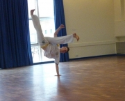 Capoeira 1