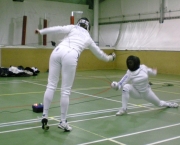 Fencing