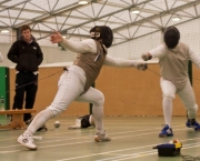 Fencing