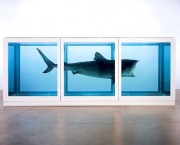 Damien Hirst shark