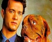 Turner and Hooch