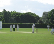 Cricket Uni