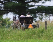 Amish horse and cart