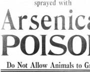 Arsenic