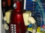 Tom Servo