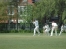 Cricket at York