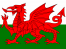 Welsh Flag