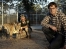 Louis Theroux - America's Most Dangerous Pets